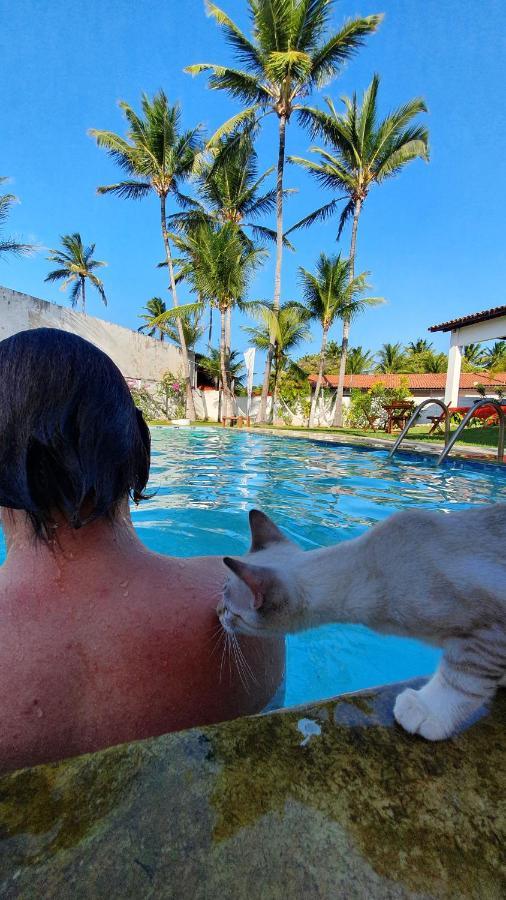 Gato Do Mato Hostel Cumbuco Eksteriør billede
